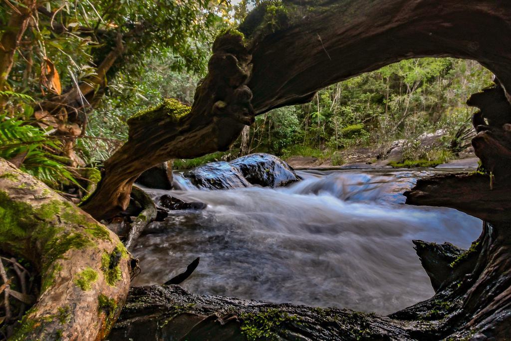 Cedar Park Rainforest Resort Koah Экстерьер фото